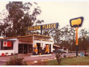 Golden Fleece