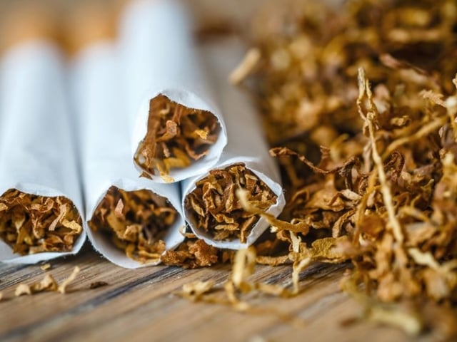tobacco